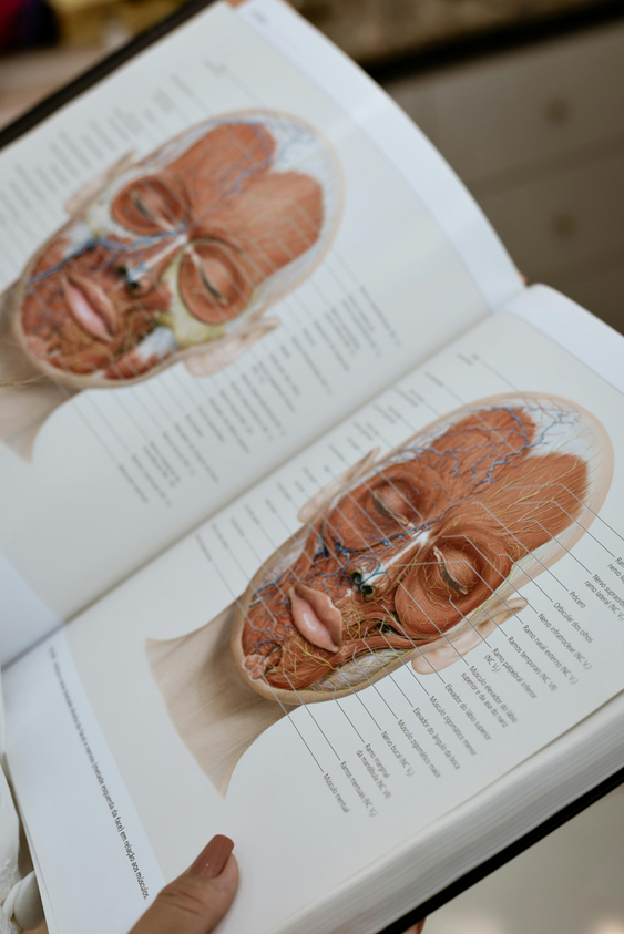 Aesthetic courses Canada injectables education